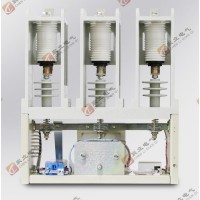 供應CKG4P-12/250水阻柜用高壓真空交流接觸器400/630a