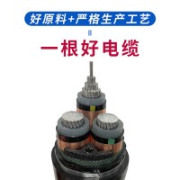 偉鵬 工程電纜電線   電線電纜  無氧銅芯電纜 廠家供應