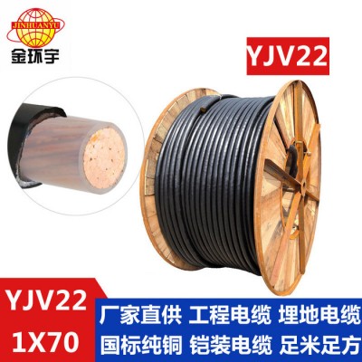 供應(yīng)金環(huán)宇電線電纜 YJV22 1*70 深