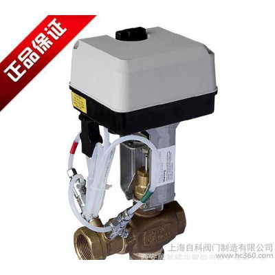 霍尼韋爾DN50電動調(diào)節(jié)閥 V5011P1038