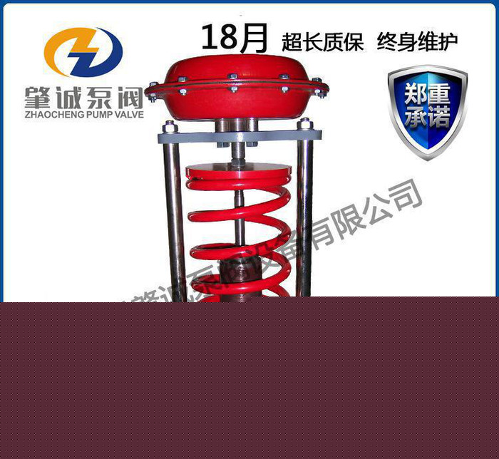 **壓力調(diào)節(jié)閥 自力式壓力調(diào)節(jié)閥 帶
