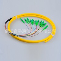 12芯LC束狀尾纖,12色LC/APC集成尾纖,LC光纖連接器