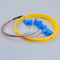 12芯SC束狀尾纖,12色SC單模集成尾纖,12芯SC/UPC電信級(jí)光纖連接器
