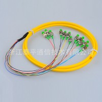 12芯FC束狀尾纖,12色FC/PC/UPC/APC集成尾纖,12芯光纖連接器尾纖