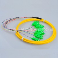 12芯束狀尾纖（12色FC/SC/ST/LC集成尾纖）ODF光纖活動(dòng)連接器