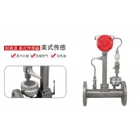 蒸汽流量計品牌 北京蒸汽流量計 無錫蒸汽流量計