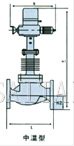 電動精小型單座、套筒調(diào)節(jié)閥結構圖1