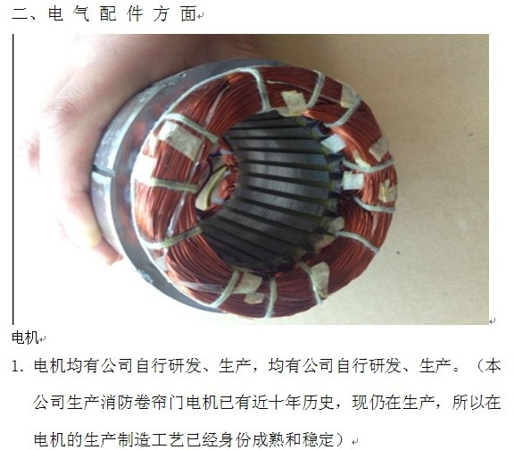 電動(dòng)優(yōu)6電機(jī)