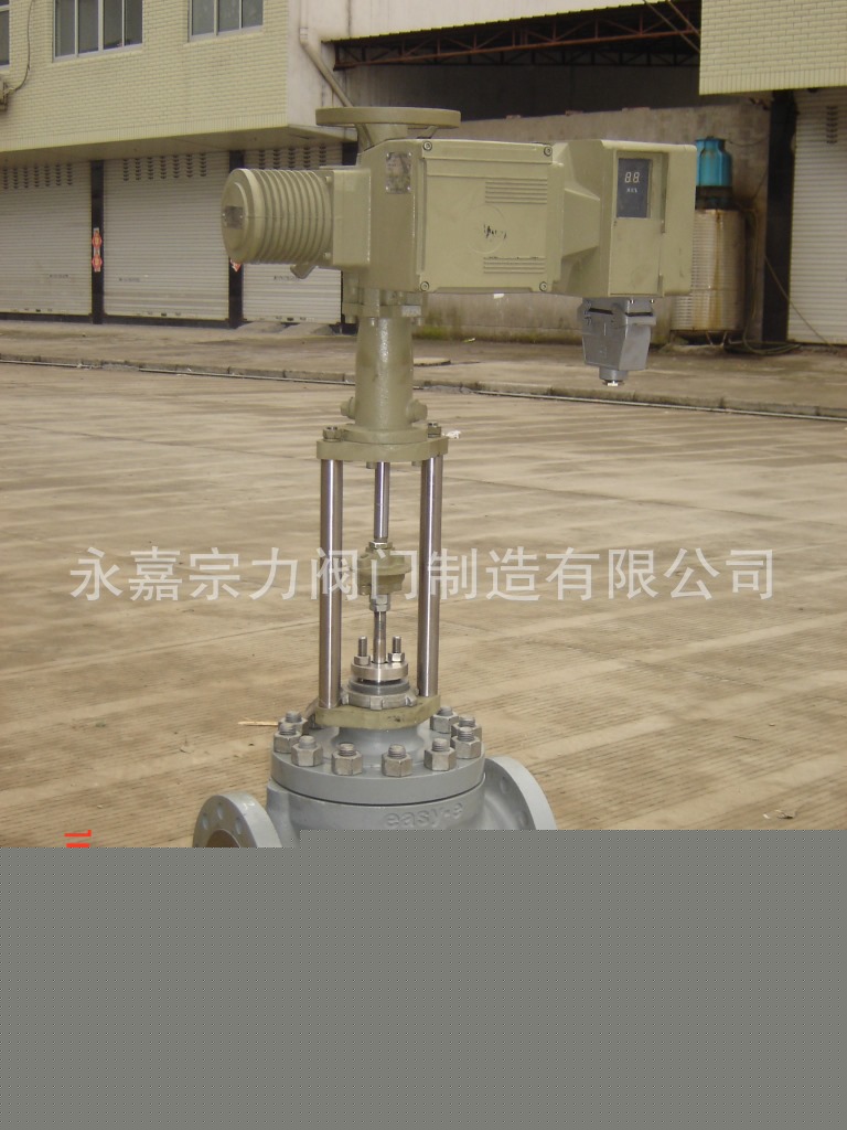 DSC02101