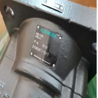 Rickmeier 齒輪泵 R65/250 FL-Z-W-SAE3-R-SO 465444
