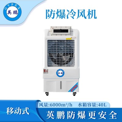 英鵬防爆冷風(fēng)機-06EX