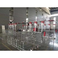 自動喂料線系列定制全套自動喂料育肥設備養(yǎng)豬場自動化料線設備