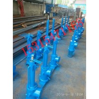 DYTZ1000液壓推桿 國龍電動(dòng)液壓推桿