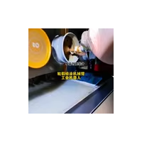 輪轂噴涂機械臂工業(yè)機器人